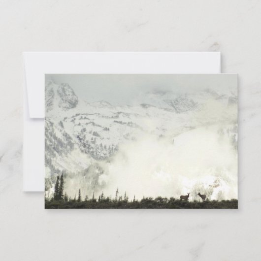 エルクアットグランドテトン国立公園写真 (正面)