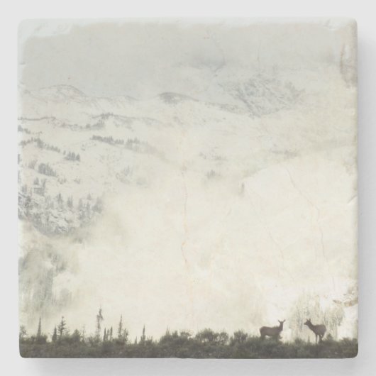 エルクアットグランドテトン国立公園写真 ストーンコースター (正面)