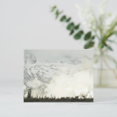 エルクアットグランドテトン国立公園写真 ポストカード (スタンド正面)