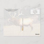 エルクアットフォートニオブ原国立野生生物保護区 ポストカード (裏面)