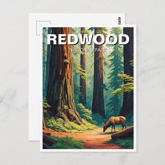 エルクアットレッドウッド国立公園お土産 ポストカード (正面/裏面)