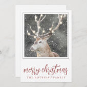 エルクインウィンタースノーホリデーカード シーズンカード (正面/裏面)