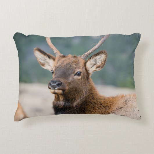 エルクインロッキーマウンテン国立公園エルクハーズグル アクセントクッション (正面)