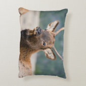 エルクインロッキーマウンテン国立公園エルクハーズグル アクセントクッション (裏面(縦))