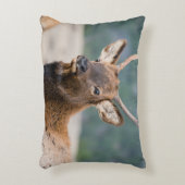 エルクインロッキーマウンテン国立公園エルクハーズグル アクセントクッション (正面(垂直))