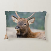 エルクインロッキーマウンテン国立公園エルクハーズグル アクセントクッション (裏面)