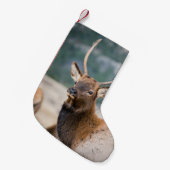 エルクインロッキーマウンテン国立公園エルクハーズグル スモールクリスマスストッキング (正面 (吊り時))