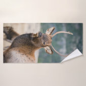 エルクインロッキーマウンテン国立公園エルクハーズグル バスタオル (バスタオル)