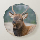 エルクインロッキーマウンテン国立公園エルクハーズグル ラウンドクッション (裏面)