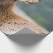 エルクインロッキーマウンテン国立公園エルクハーズグル ラッピングペーパー (角)