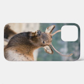 エルクインロッキーマウンテン国立公園エルクハーズグル Case-Mate iPhoneケース (裏面 (横))