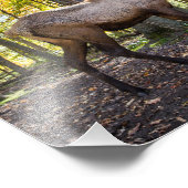 エルクイン秋 フォトプリント            (角)