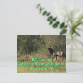 エルクカウンティベネゼットPA ポストカード (スタンド正面)