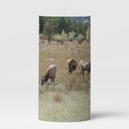 エルクキャンドル