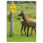 エルククロッシングカリフォルニア野生生物写真 クリップボード (裏面)
