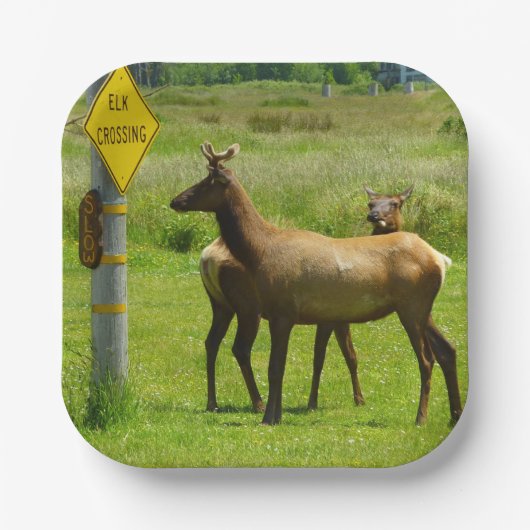エルククロッシングカリフォルニア野生生物写真 ペーパープレート (正面)