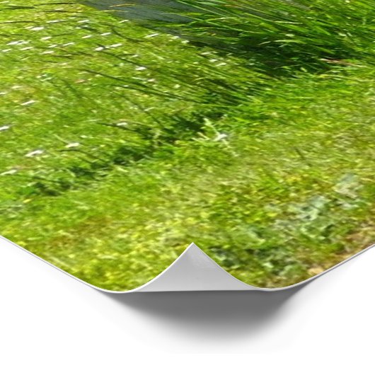 エルククロッシングカリフォルニア野生生物写真 ポスター (角)