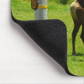 エルククロッシングカリフォルニア野生生物写真 マウスパッド (コーナー)