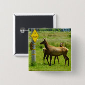 エルククロッシングカリフォルニア野生生物写真 缶バッジ (正面&裏面)