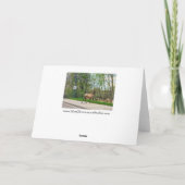 エルククロッシング通り カード (裏面)