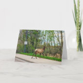 エルククロッシング通り カード (正面)