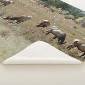 エルクシェルパ毛布 シェルパブランケット (3/4)