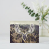 エルクスカル ポストカード (スタンド正面)