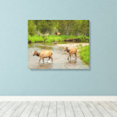 エルクスクロッシングザコロラド川 キャンバスプリント (インサイチュ (ウッドフロア))