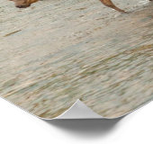 エルクスクロッシングザコロラド川 ポスター (角)