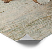 エルクスクロッシングザコロラド川 ポスター (角)