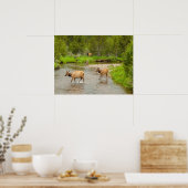 エルクスクロッシングザコロラド川 ポスター (キッチン)