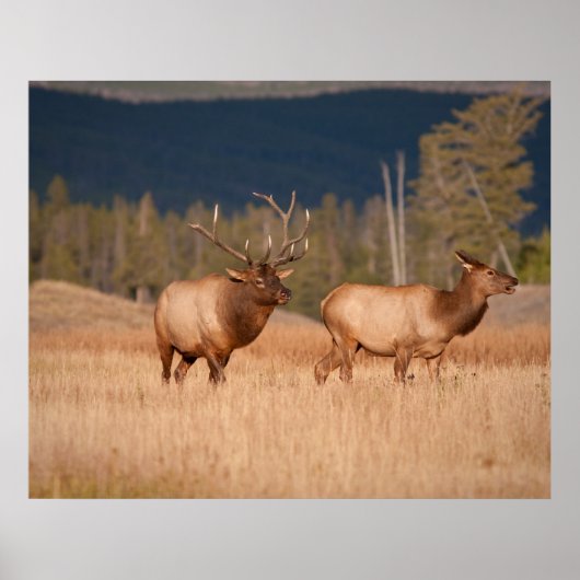 エルクス ポスター (正面)