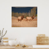 エルクス ポスター (キッチン)