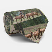 エルクタイ ネクタイ (ロール)