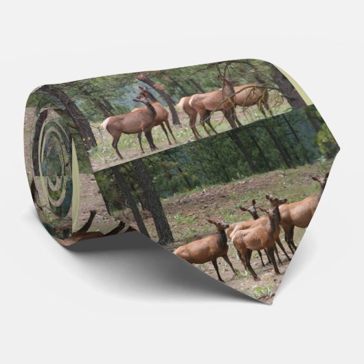 エルクタイ ネクタイ (ロール)