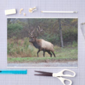 エルクティッシュペーパー 薄葉紙 (クラフト)