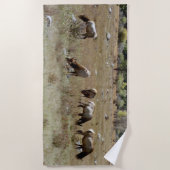 エルクビーチタオル ビーチタオル (正面)