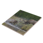 エルクブルズ戦い，イエローストーンNP，ワイオミング タイル (側面)