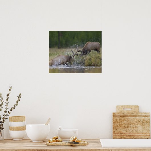 エルクブルズ戦い，イエローストーンNP，ワイオミング ポスター (キッチン)