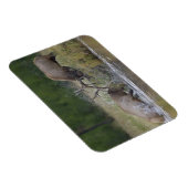 エルクブルズ戦い，イエローストーンNP，ワイオミング マグネット (右側)