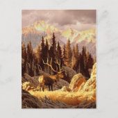 エルクブル ポストカード (正面)