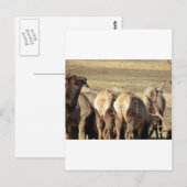 エルクブーティ ポストカード (正面/裏面)