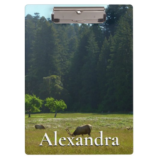 エルクメドウアットレッドウッド国立公園 クリップボード (正面)