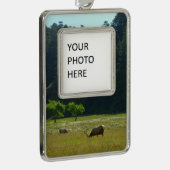 エルクメドウアットレッドウッド国立公園 シルバープレートフレームオーナメント (右)