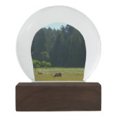 エルクメドウアットレッドウッド国立公園 スノーグローブ (裏面)