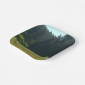 エルクメドウアットレッドウッド国立公園 ペーパープレート (傾斜あり)