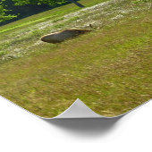 エルクメドウアットレッドウッド国立公園 ポスター (角)