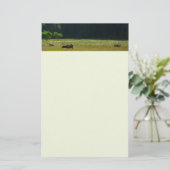 エルクメドウアットレッドウッド国立公園 便箋 (スタンド正面)