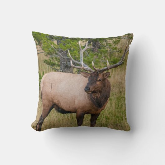 エルクレイクヴィレッジイエローストーン国立公園ワイオミング クッション (正面)