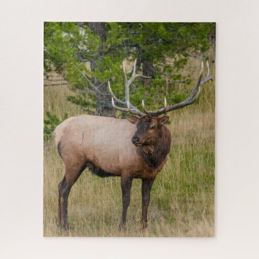 エルクレイクヴィレッジイエローストーン国立公園ワイオミング ジグソーパズル (縦)